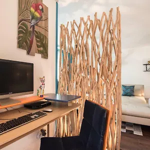  Appartement T4 8 Personnes De Grand Standing Classé 4 étoiles En Plein Centre De Lary Soulan France